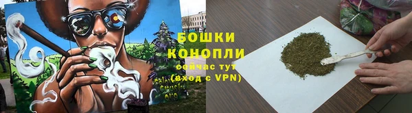 гашик Новокубанск