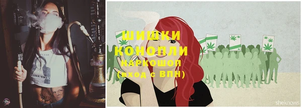 тгк Новодвинск