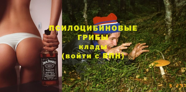 тгк Новодвинск