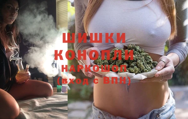 гашик Новокубанск