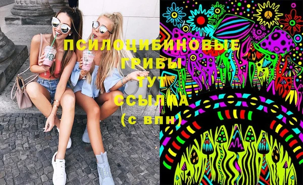 гашик Новокубанск