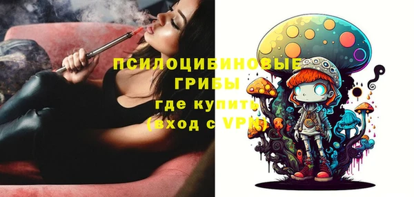скорость Чекалин