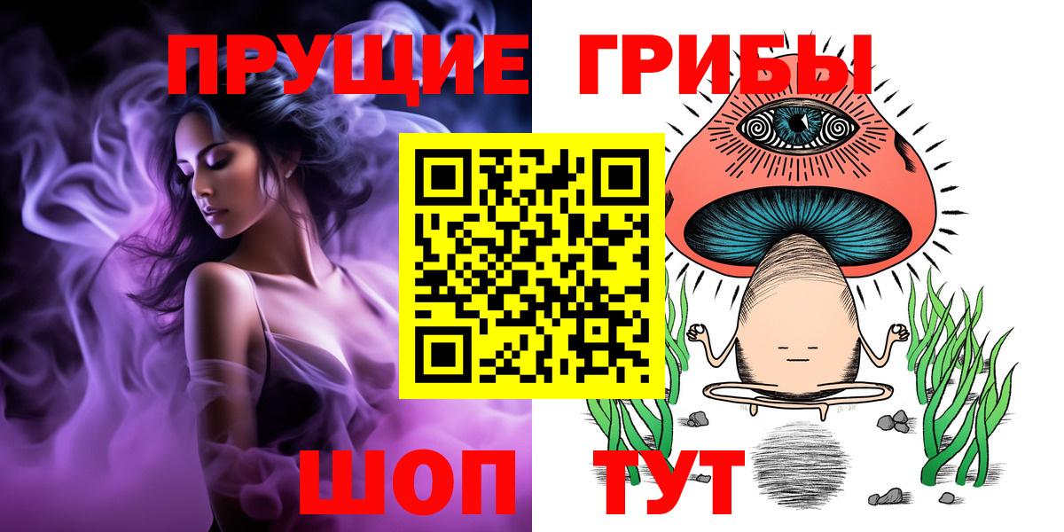 Псилоцибиновые грибы Psilocybine cubensis Кунгур